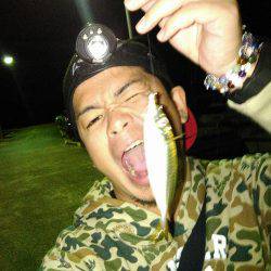 癒しのアジング！❤